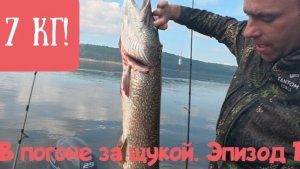В погоне за щукой! День Первый! Зубастые злые хищники.