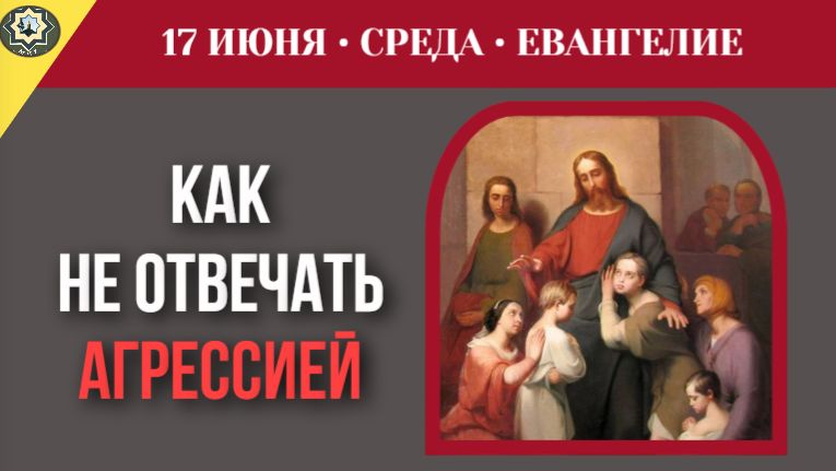 Секрет голубиной простоты как научиться никогда не отвечать агрессией смотреть онлайн