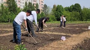 Чем занимаются самарские участники юннатского движения