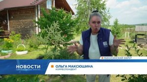 На ферме под Минусинском кот устроился работать охранником клубники