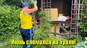 Июнь совсем сломался на Урале! Льёт и льёт, а мы работаем!