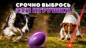 ЭТИ игры ломают психику собаки чем заменить