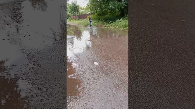 1000133806.mp4 смотреть онлайн
