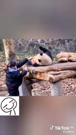 Ой, шоб я тоже так жил! 🤣
