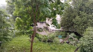 У нас сегодня ливень, гроза...