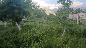 Наталья Губарева. ПРОРВАЛА ТРАВУ ВРУЧНУЮ..⧸ ЖИЗНЬ В ДЕРЕВНЕ #villagelife