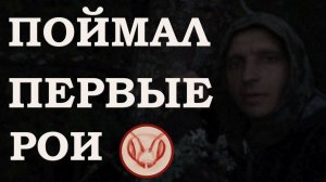 Первые рои залетели в колоды-скрутки
