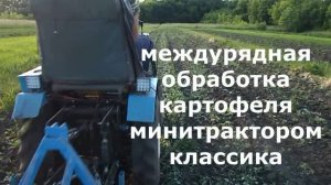 Прополка и окучивание картофеля минитрактором и мотоблоком