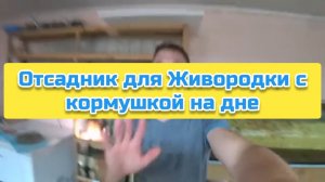 Отсадник для Живородки с кормушкой на дне