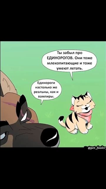 Летучая мышь и летающий пони) Пикси и Брут