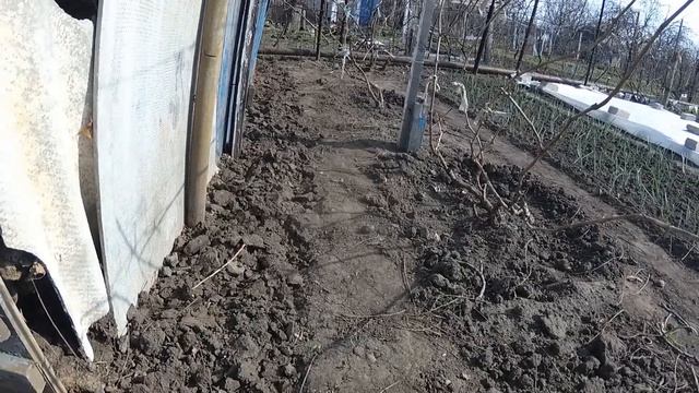 Способы борьбы с медведкой.