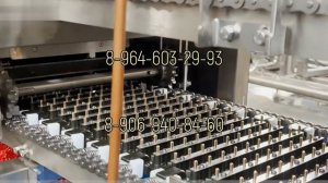 Линия изготовления мармелада (50-80 кг/час)