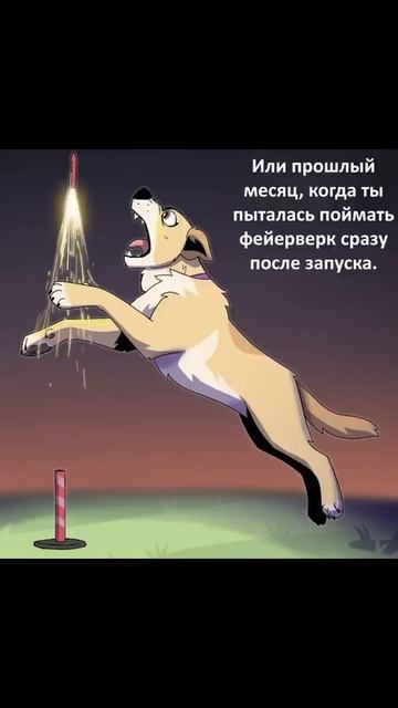 Что может случиться?) Пикси и Брут