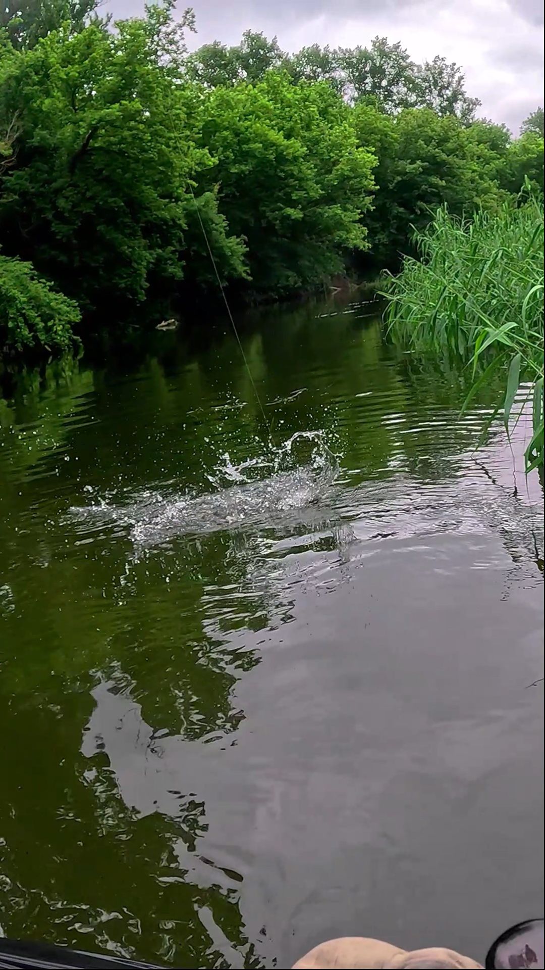 🎣 Голодный хищник: Заглотил как родного! 😱
