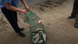 рыбалочка с ночёвкой Грибы, Рыбалка, Барбекю