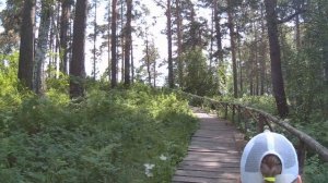 Бердские скалы. Скала Зверобой