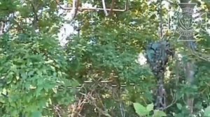 💥Бои в Сумской области: уничтожение вражеского усилителя сигнала БпЛА