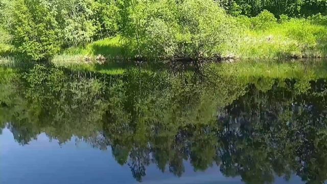 Природа. Релакс. Музыка от ИИ.