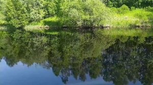 Природа. Релакс. Музыка от ИИ.