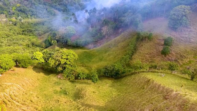 AMAZON RAINFOREST - TRUE CINEMATIC