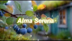 🎵 Un Momento para Mí 💙 Música para la Paz Interio #47_nuevo