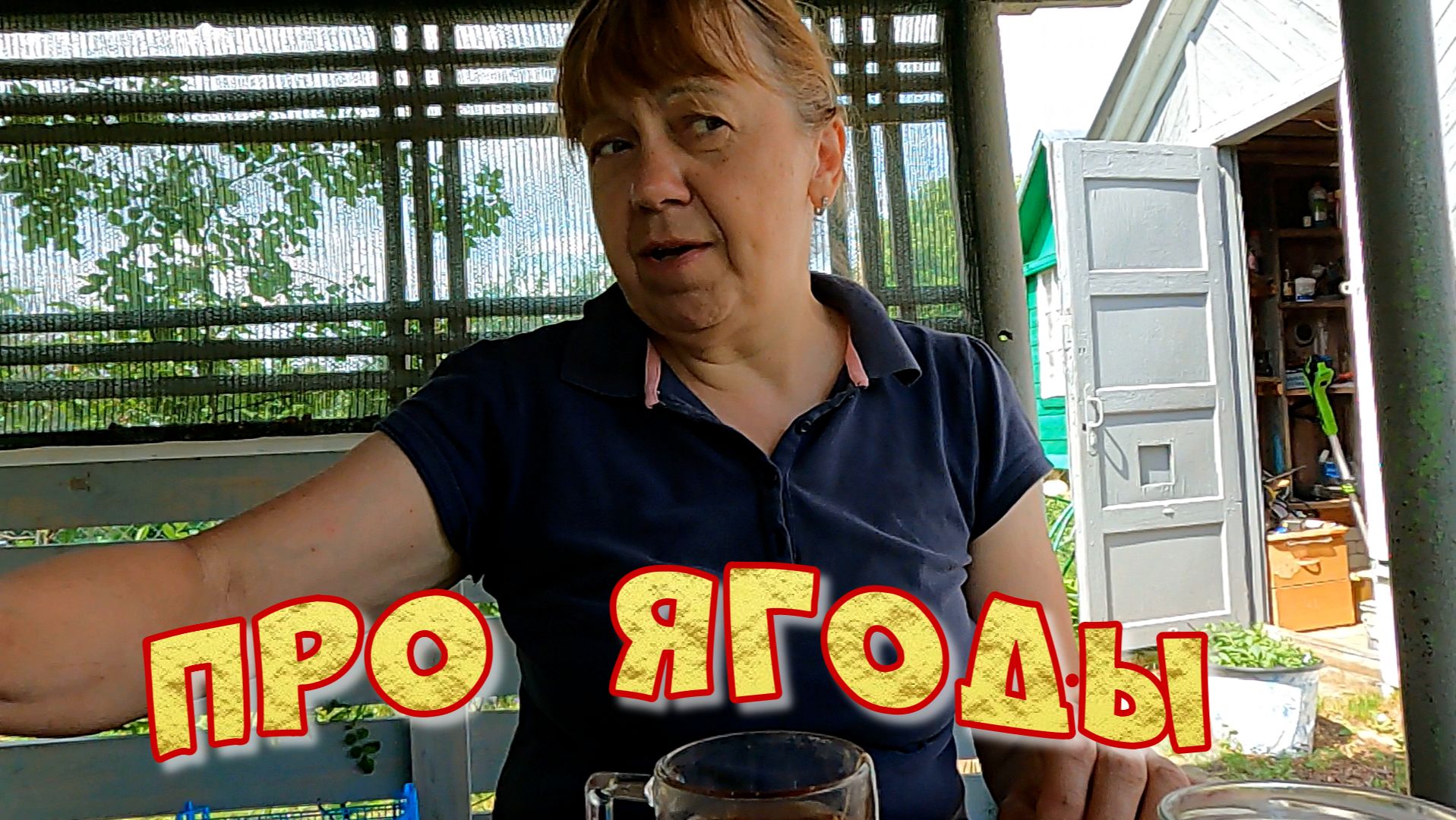 ПРО ЯГОДЫ  НАВОДИМ ПОРЯДОК