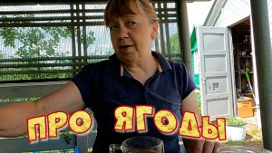 ПРО ЯГОДЫ  НАВОДИМ ПОРЯДОК