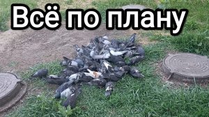 16-06-2026. Всё по плану.