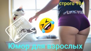 #смешныевидео -1511