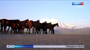 Кабардино‑Балкария вошла в пятерку самых популярных туристических направлений СКФО