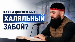 Правила халяльного забоя — шейх Абдуррахман