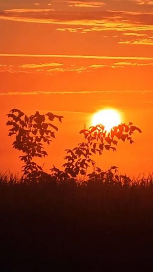 Подмосковный релакс.😉☀✌