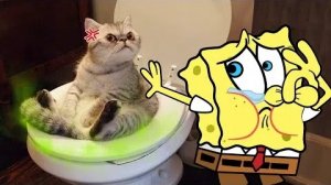 Мультики для детей .Детские мультики.Яркие мультики