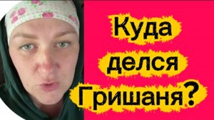 Куда делся Гришаня?