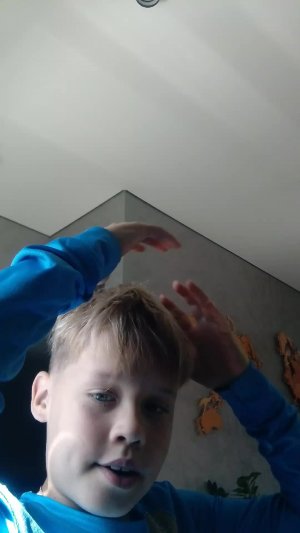 общение
