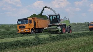 Сельхозпредприятия Зарайского округа готовят кормовую базу.