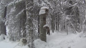 50 дней в тайге Прикамья. Бродяги Севера. Часть 8
