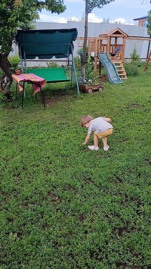 На даче