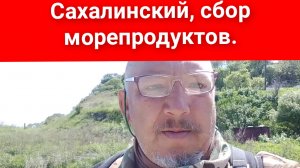 Прогулка по отливу,и сбор морепродуктов #Сахалин#Корсаков#Залив Анива.