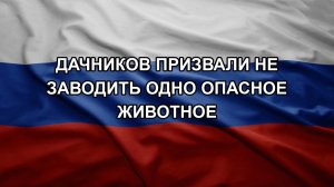 Дачников призвали не заводить одно опасное животное