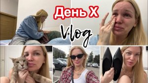 Страх и Ужас/ День Х настал/ Влог/ Silena Sway Психолог