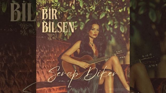 Bir Bilsen
