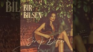 Bir Bilsen