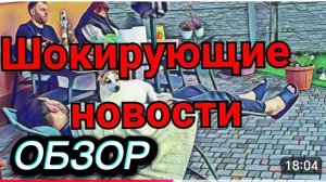САМВЕЛ АДАМЯН, ШОКИРУЮЩИЕ НОВОСТИ, КОКА СПАСИТЕЛЬ И СОВЕТЧИК, ТРУСЫ СТОЯТ, ПОСАДИЛИ ТУИ..