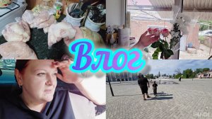 Влог🌟//Закупка на 2 недели✔️//ленивые ПП-пирожки👌//Рацион на 3 дня🌮