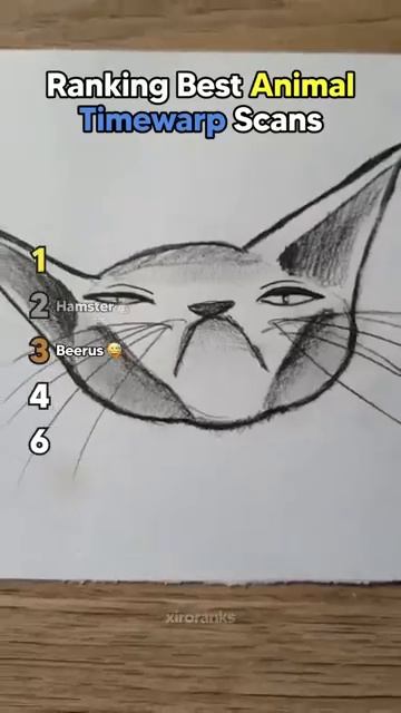 Ranking Best Animal Time Warp Scans смотреть онлайн