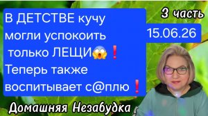 3 часть. В детстве кучу могли успокоить только ЛЕЩИ😱❗️Теперь также воспитывает с@плю❗️