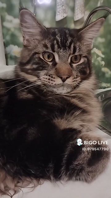 Марс)❤️ смотреть онлайн