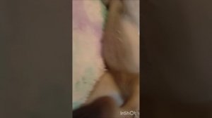 💙🤟Обзорка💕🫰