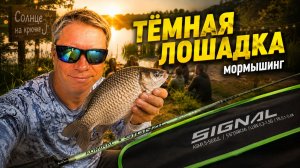 ТЁМНАЯ ЛОШАДКА? Admiral SIGNAL удивил на воде | Новый мормоспин